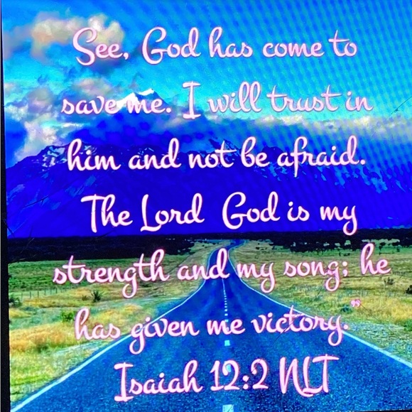 WHITEWOODS NORDIC INSULATED CROSS COUNTRY SKI BOOTS - Sz 38 - Picture 6 of 16